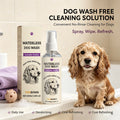 Waterless Dog Shampoo Spray for Fresh Coat and Odor Removal