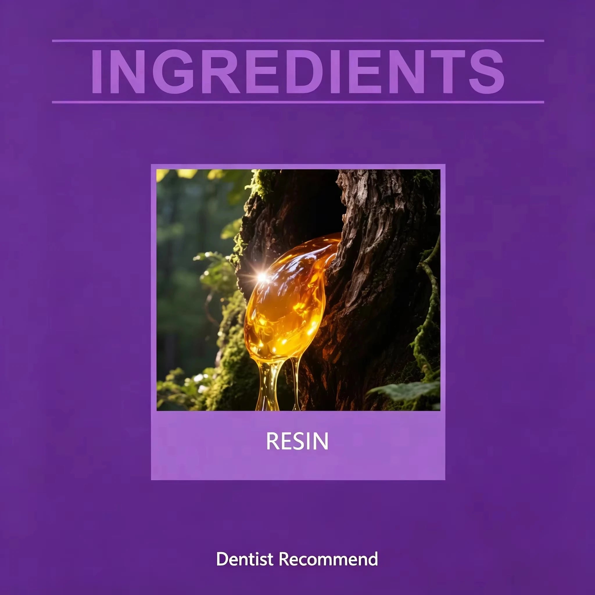 Custom Fit Cosmetic Denture Set for Instant Natural Smile