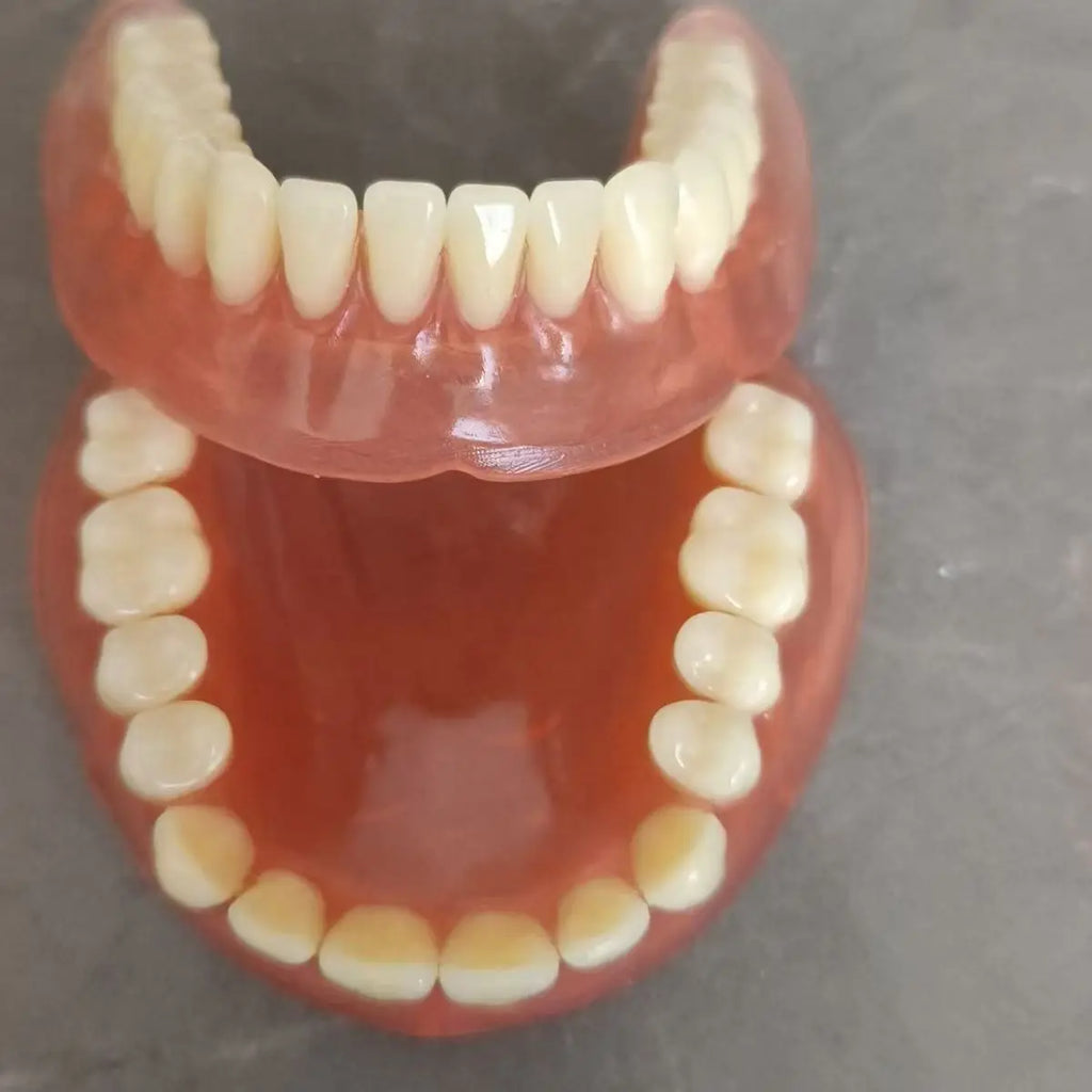 Portable Denture Care and Cleaning Travel Kit with Storage Case