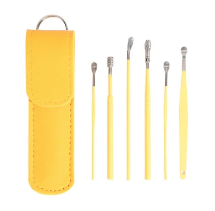 Stainless Steel Ear Wax Removal Cleaning Kit with Storage Case - 16