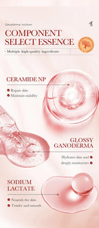 Dragon Blood Anti-Aging Facial Firming and Rejuvenating Serum