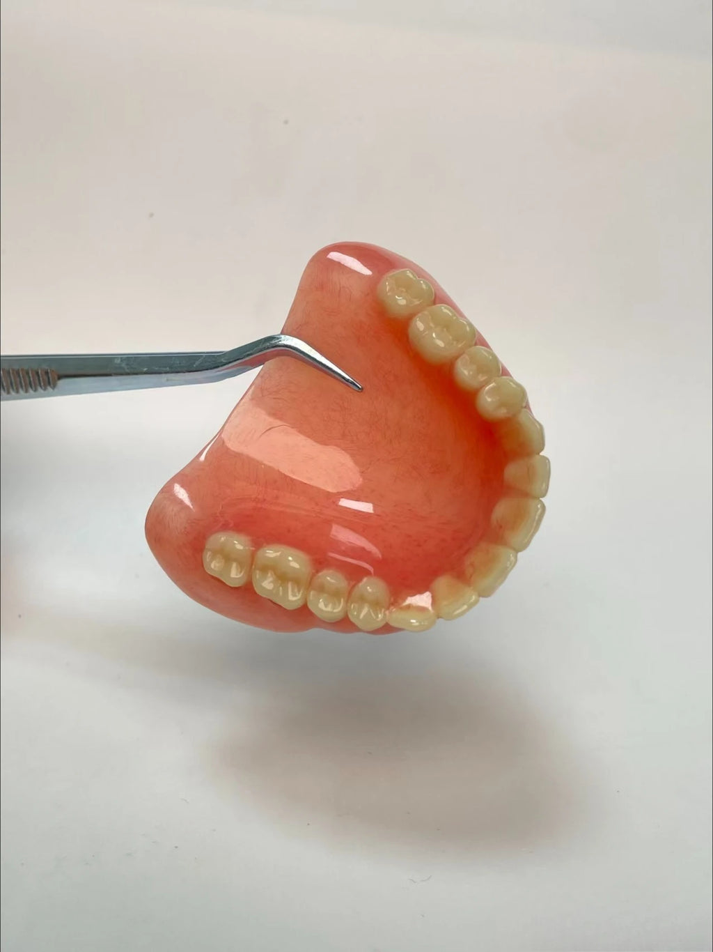 Moldable Temporary Denture Set for Instant Smile