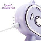 Electric Mist Spray Massage Comb for Hair Detangling and Scalp Care