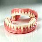 Comfort Fit Full Mouth Denture Set with Complete Care and Storage Kit