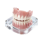 Instant Cosmetic Dentures for a Confident Smile