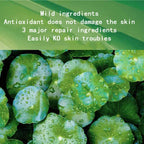 Centella Collagen Sleeping Facial Mask - 30 Pack Anti-Aging Treatment