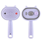 Electric Mist Spray Massage Comb for Hair Detangling and Scalp Care