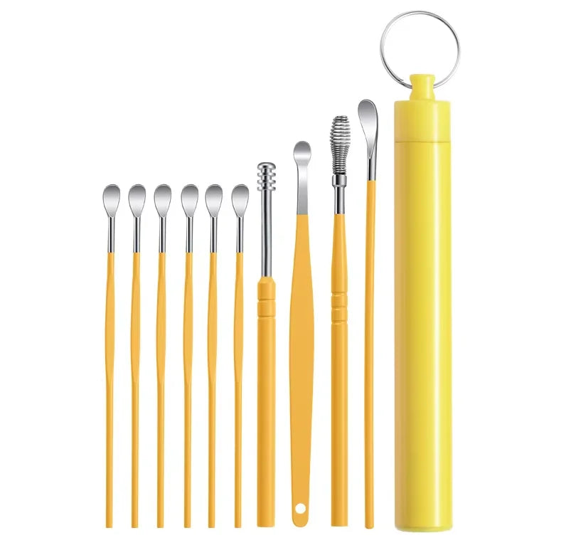 Stainless Steel Ear Wax Removal Cleaning Kit with Storage Case - 19
