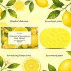 Exfoliating Lemon Scented Bath Sponge for Daily Body Cleansing