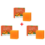Persimmon Odor Reducing Exfoliating Soap Bar