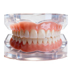 Customizable Cosmetic Dentures for Realistic Smile Restoration
