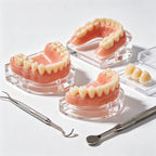 Natural Look Silicone Denture Set for Upper and Lower Jaw