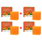Persimmon Odor Reducing Exfoliating Soap Bar