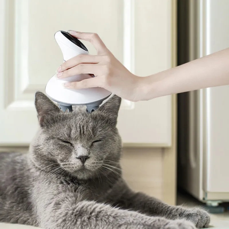 Electric Cordless Scalp Massager for Relaxation and Hair Care